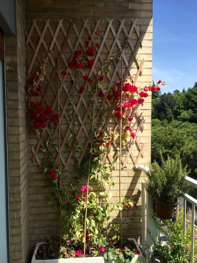 Happy Holiday In Rome B&B Экстерьер фото